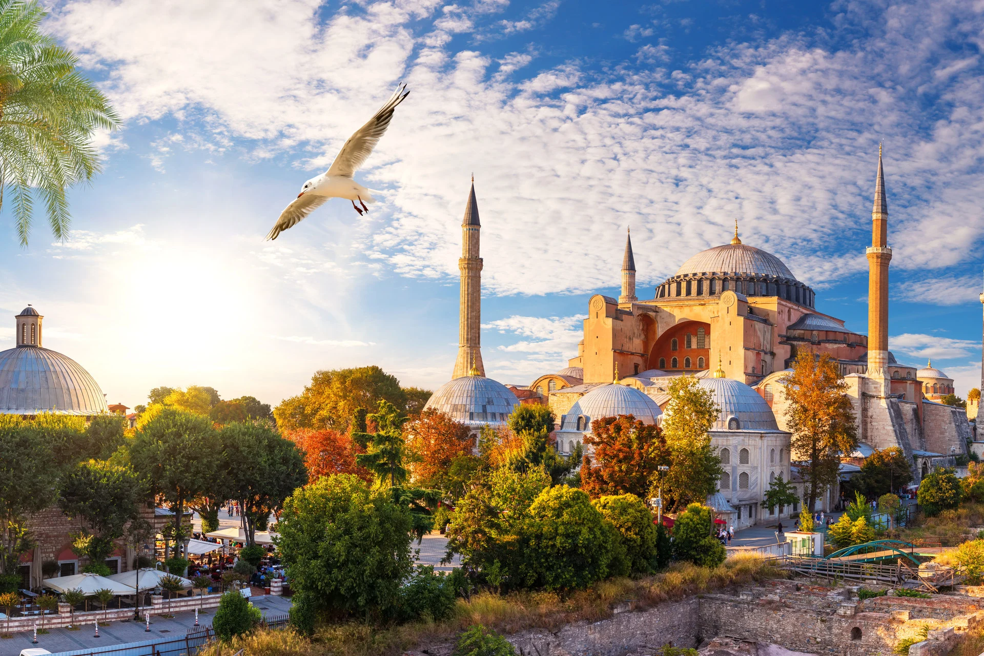 Timeless Türkiye 4 Hagia Sophia Istanbul