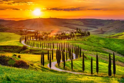 cypress road val d'orcia