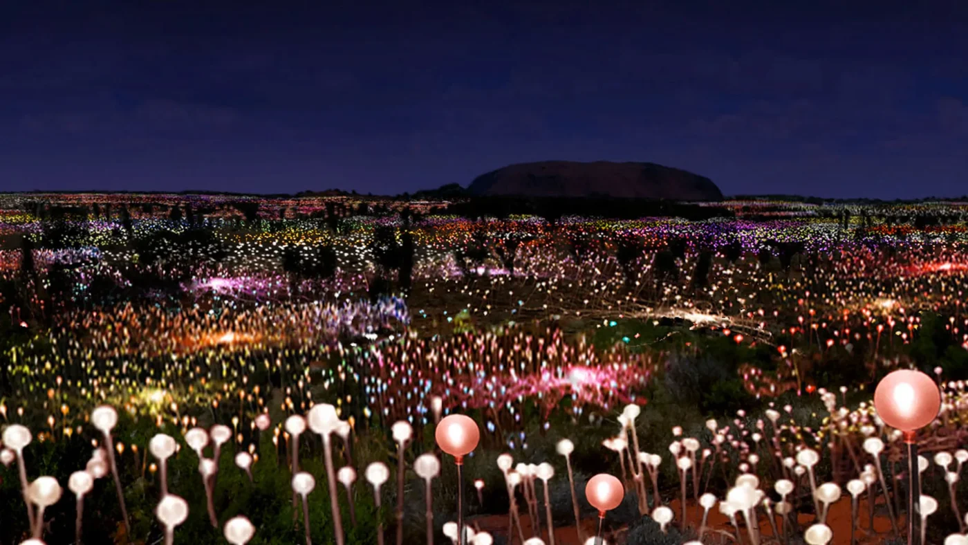 Field of Light installation 1400 | Solo Travel For Women | Sisterhood Travels Group Tours