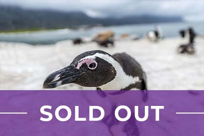 Antarctica SOLD OUT