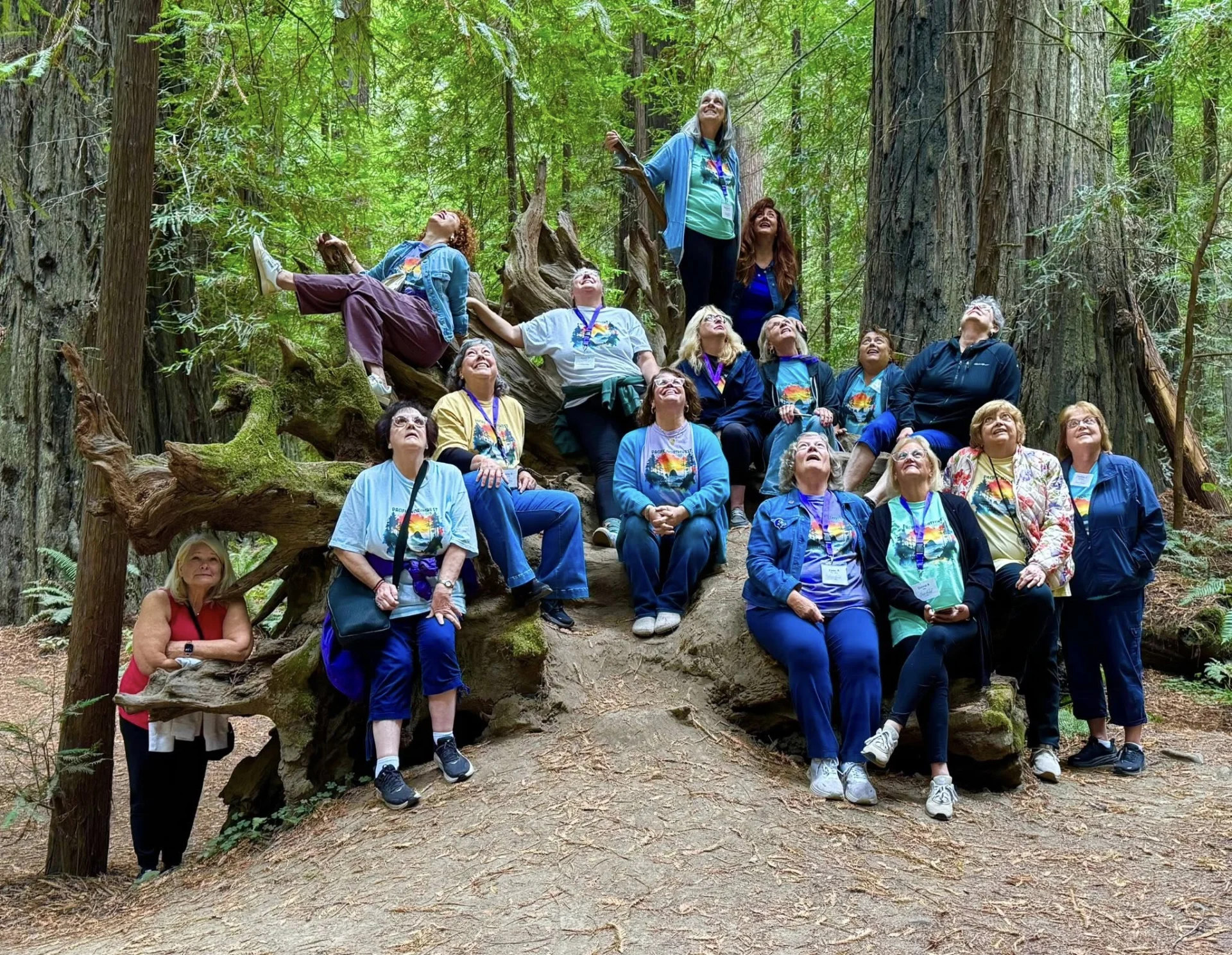 Women in the redwoods looking up