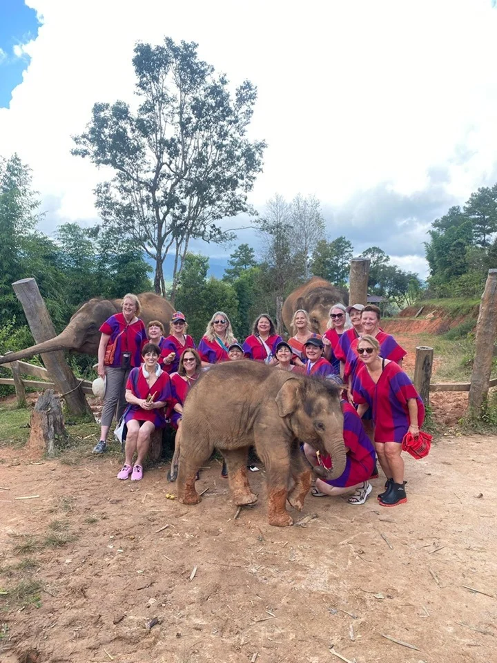 Sisters with baby elephant