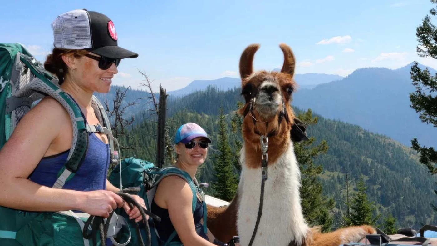 Sisterhood Travels llama trek