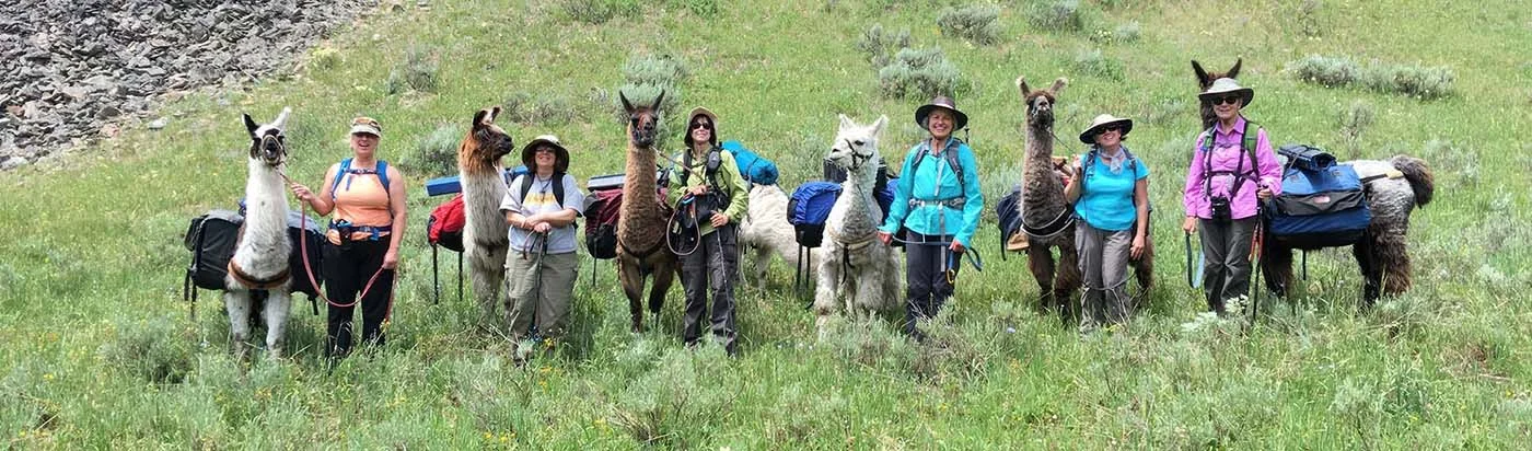 Sisterhood Travels llama trek