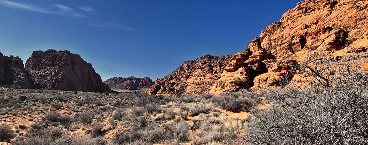 Snow Canyon State Park Pano