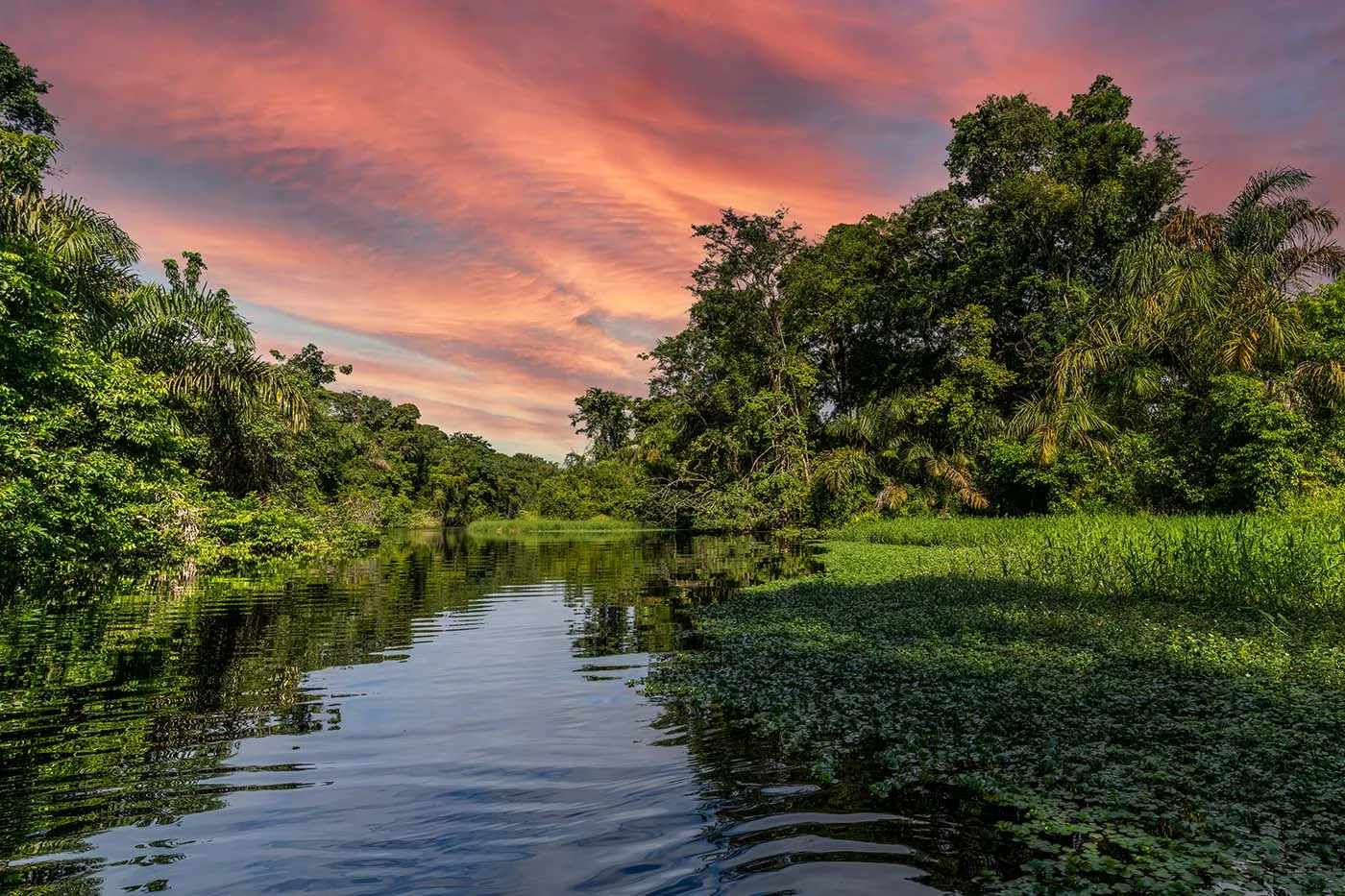 Tortuguero National Park