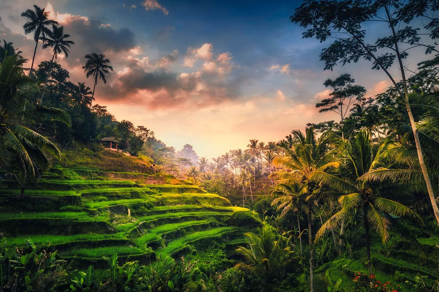 Ubud Bali