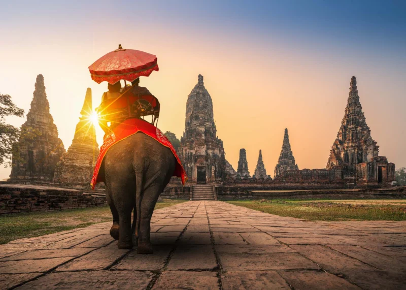 Wat Chaiwatthanaram Elephant