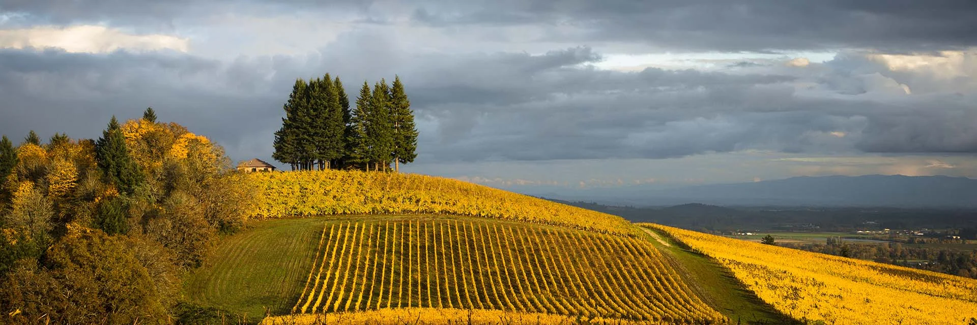 PACIFIC NORTHWEST 2026 5 Willamette Valley Pano