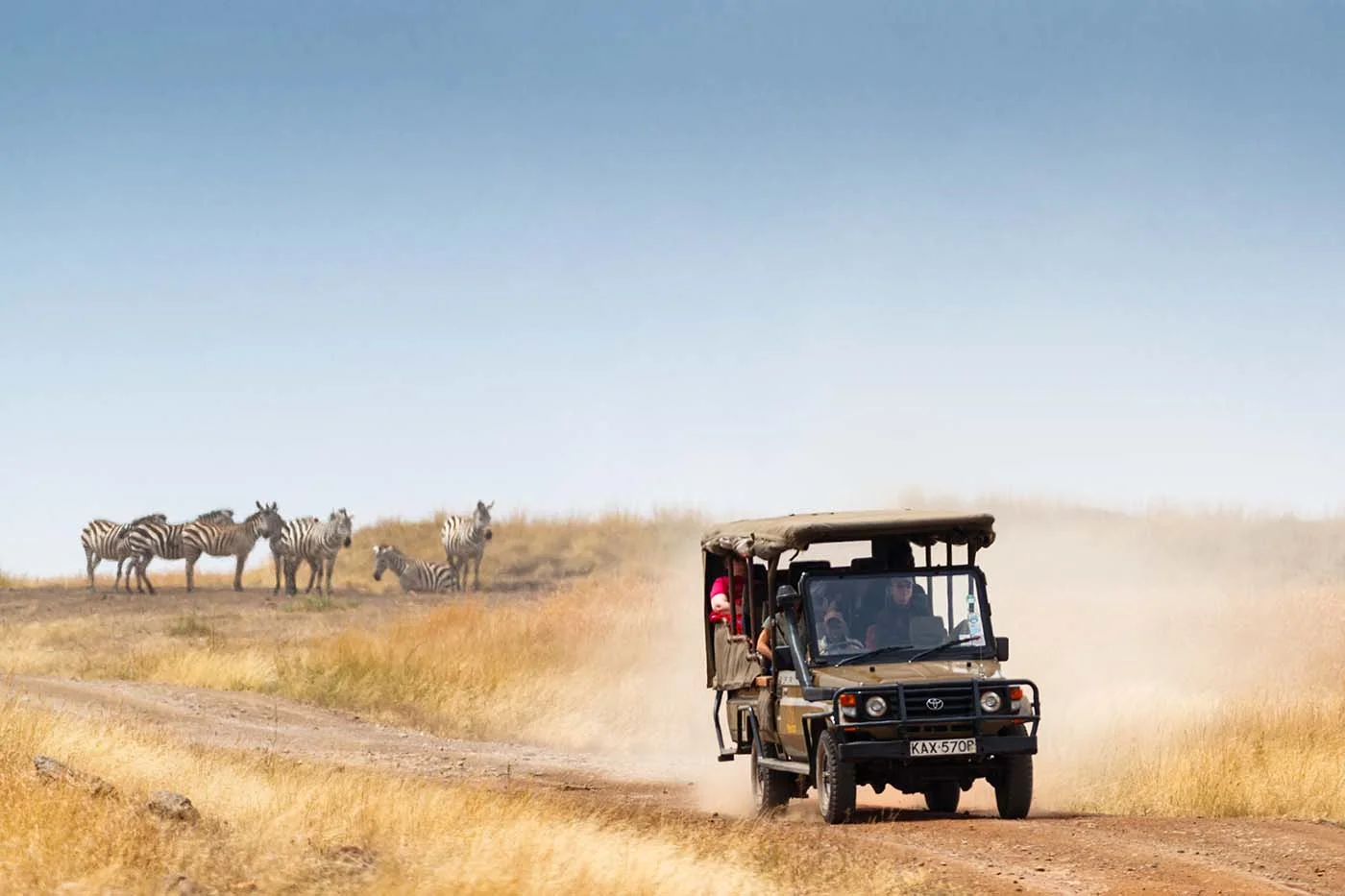 african game drives zebras and truck