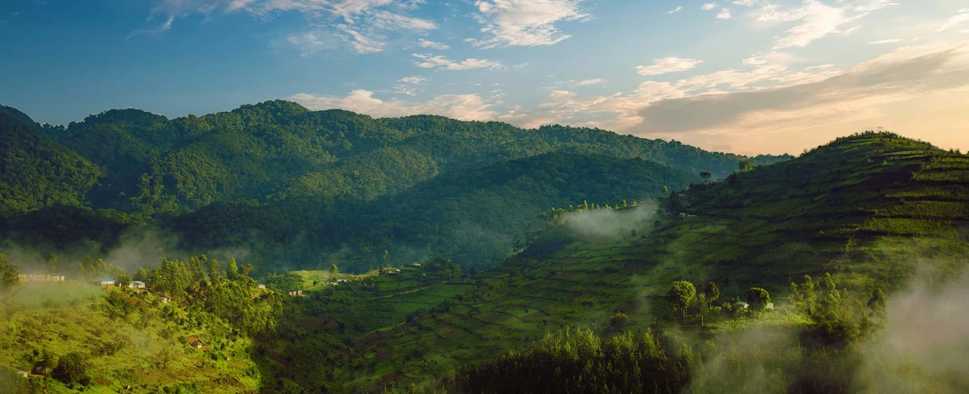 bwindi impenetrable forest pano