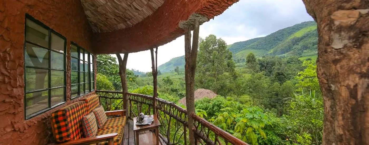 bwindi lodge pano