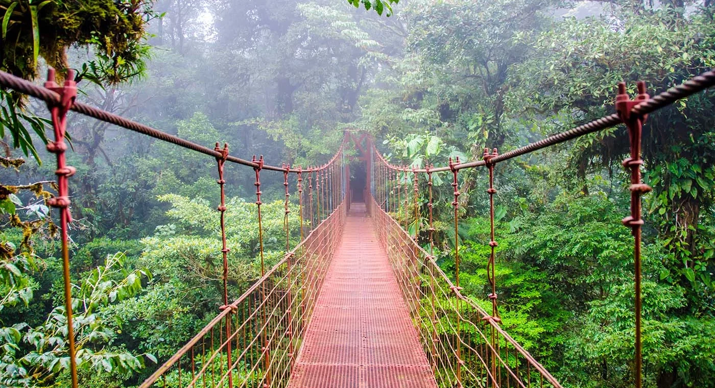 costa rica rainforest bridge