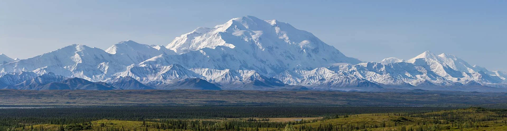 denali national park