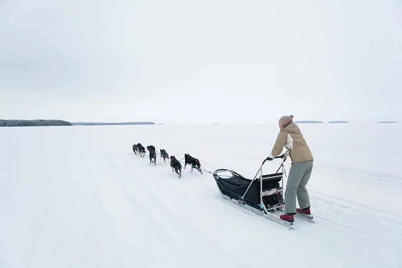 dog sled 2 800 | Solo Travel For Women | Sisterhood Travels Group Tours