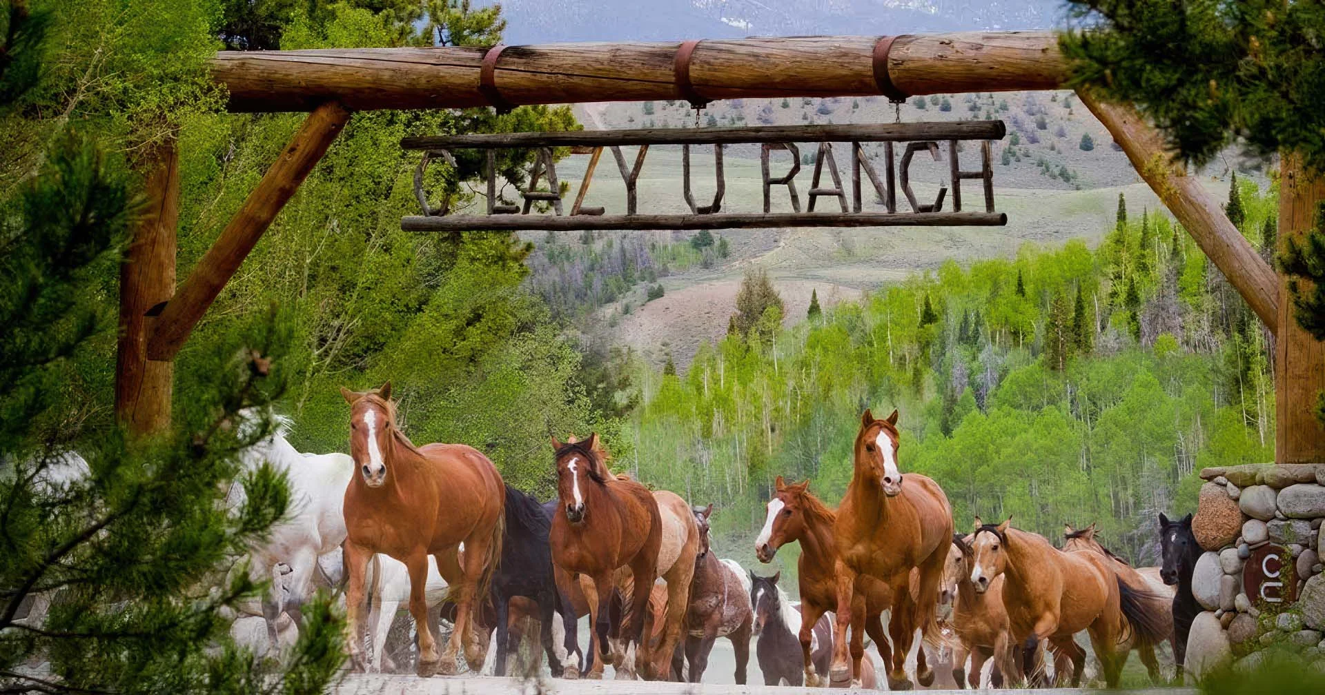 dude ranch