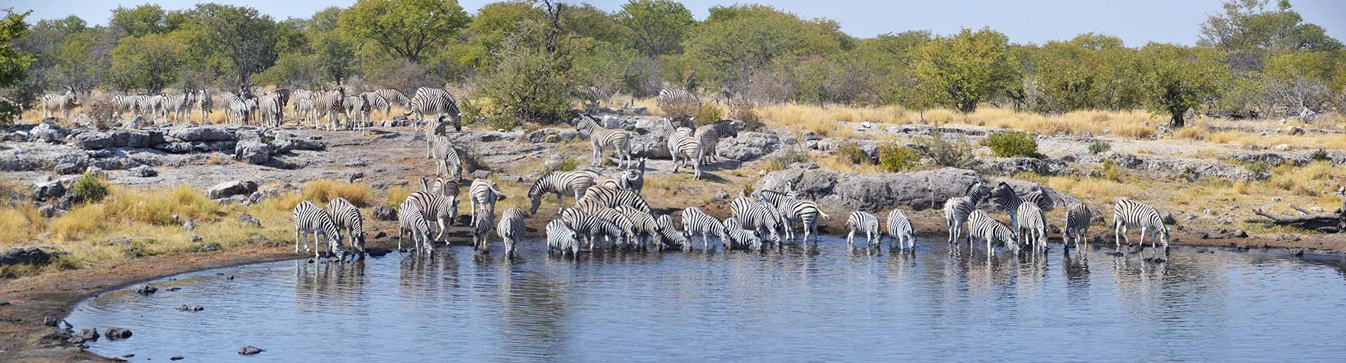 etosha national park