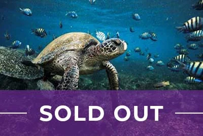 galapagos sold out