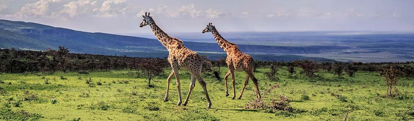 katavi national park