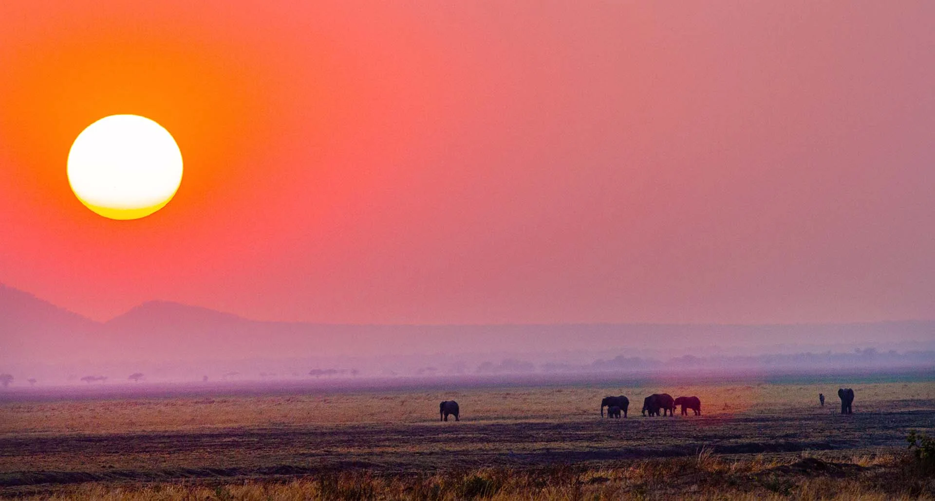 katavi national park sunset