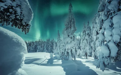 lapland finland northern lights trees
