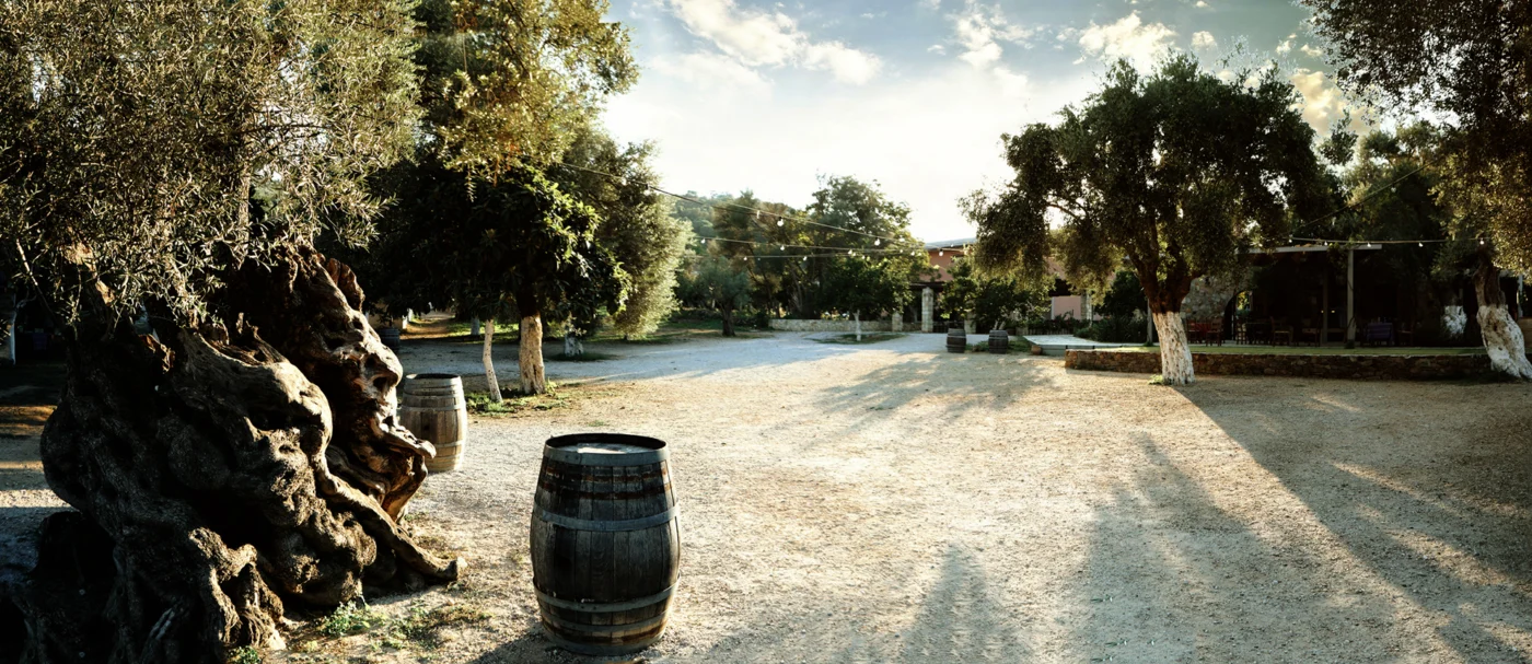 manousakis winery chania crete 1400 | Solo Travel For Women | Sisterhood Travels Group Tours