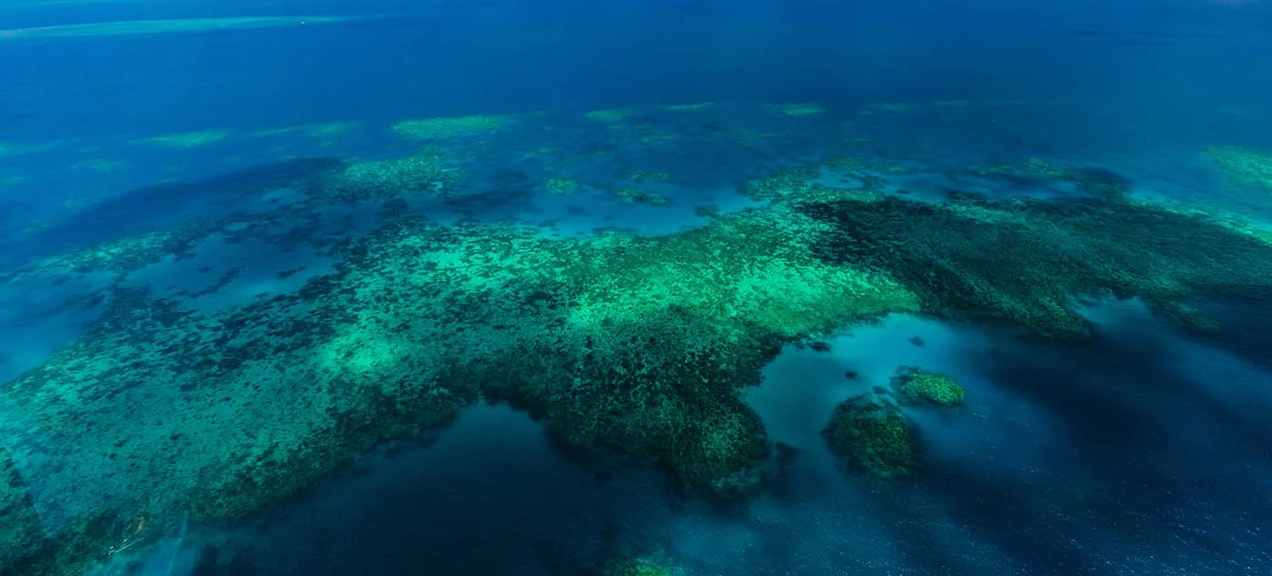 moore reef pano