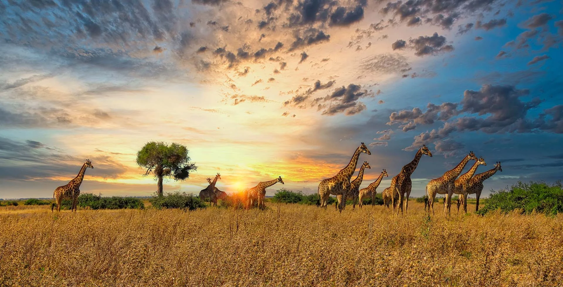 northern serengeti