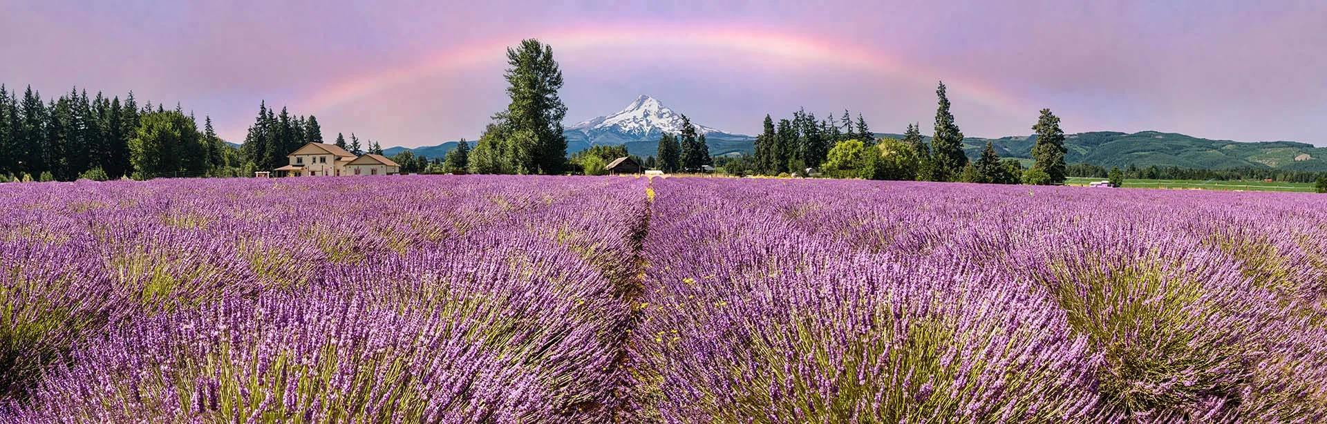 PACIFIC NORTHWEST 2026 4 oregon lavender farm