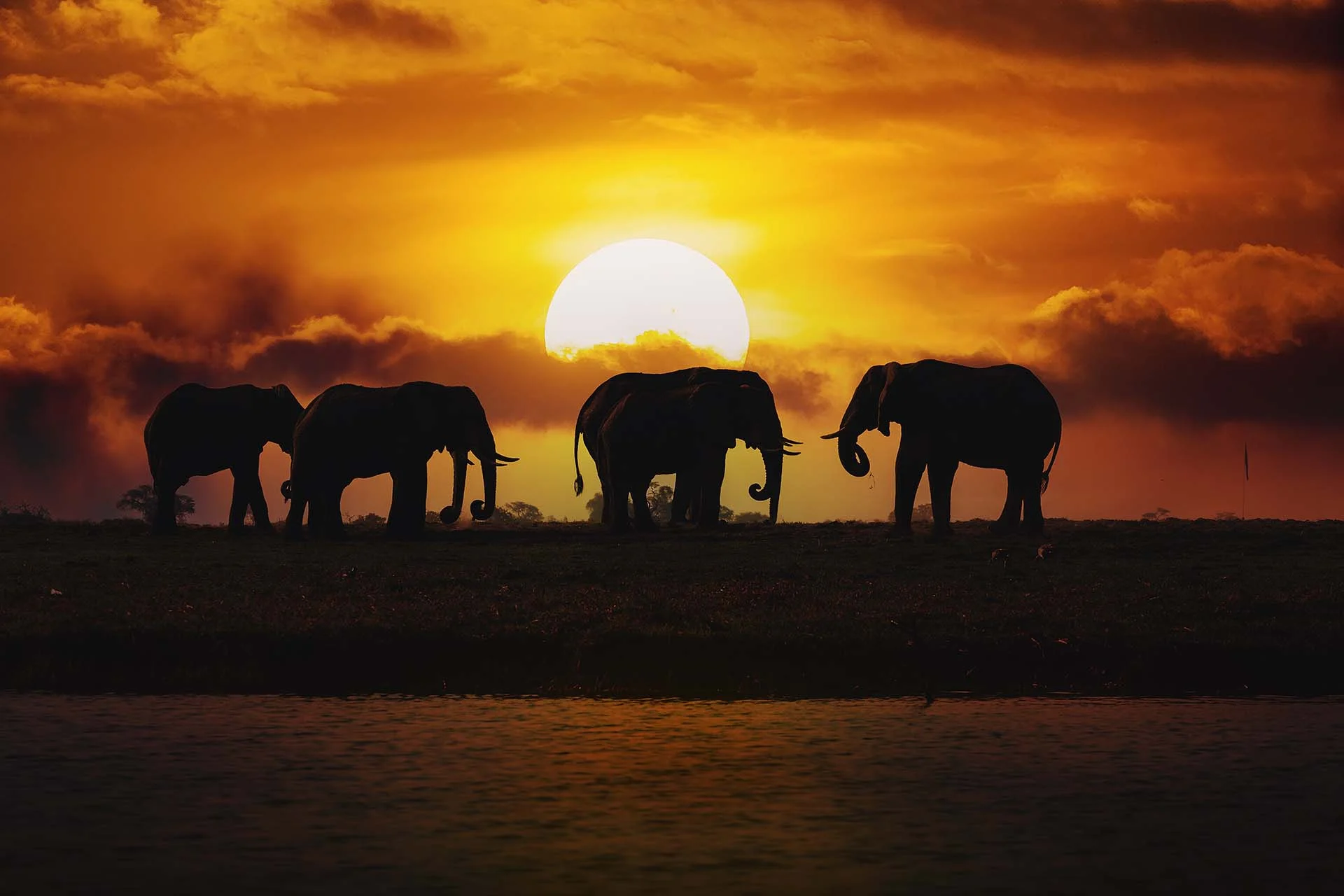 safari namibia