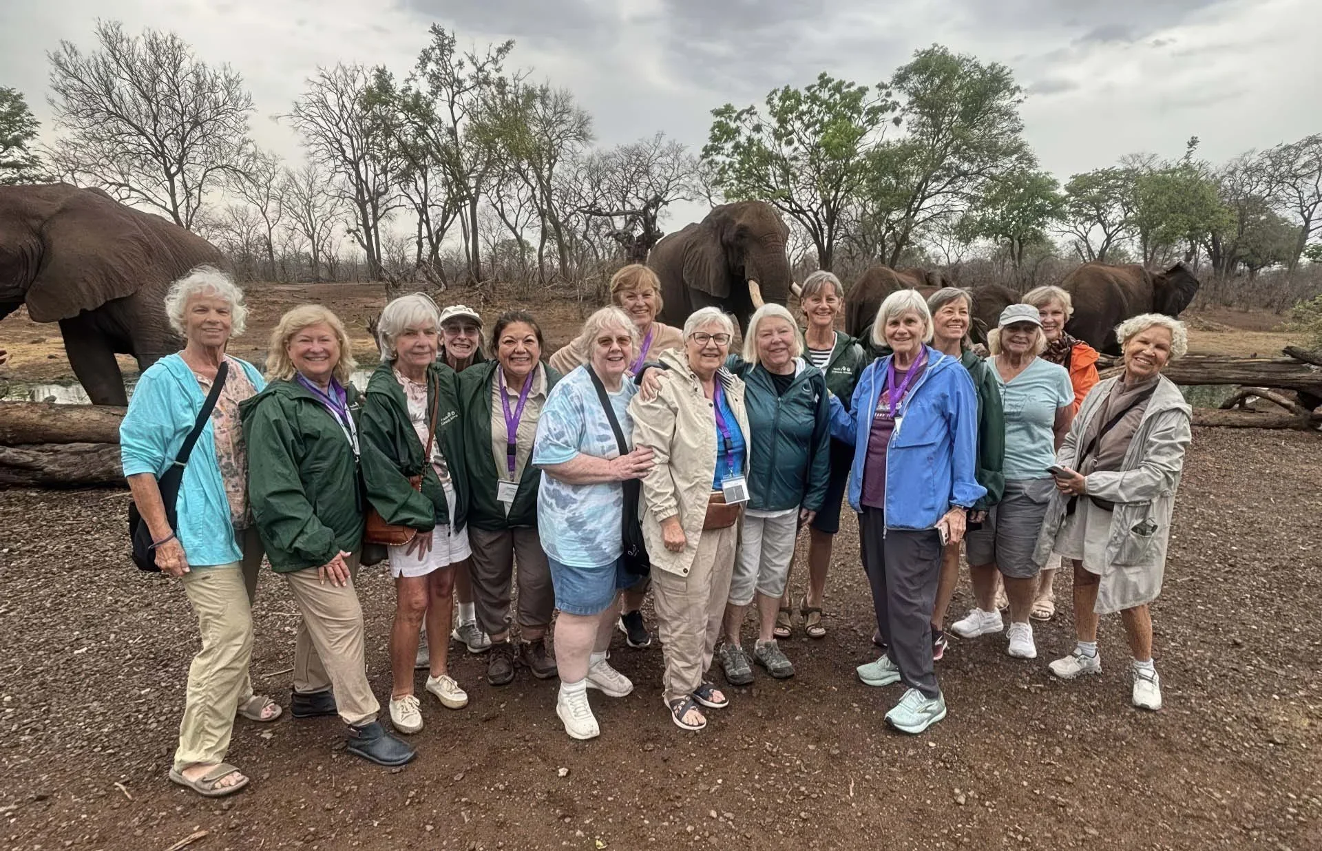 sisterhood travels safari