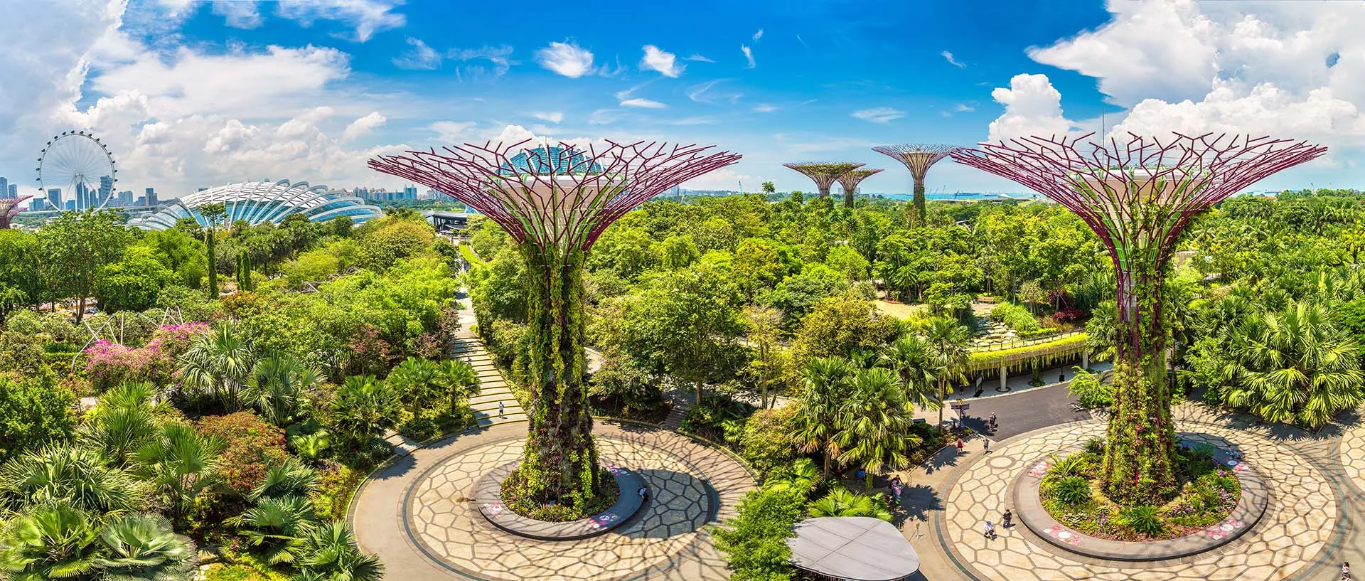 singapore super tree botanic gardens