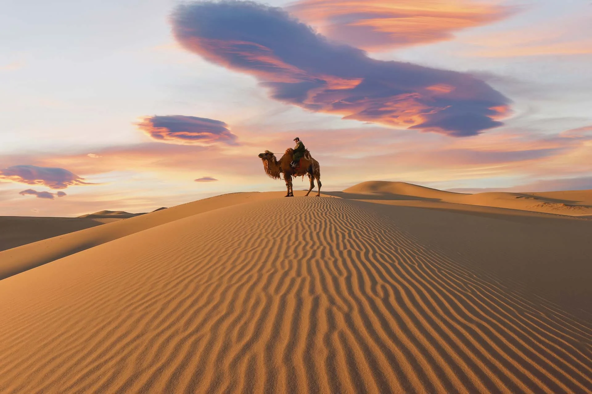 south gobi desert moltsog els sand dunes camel