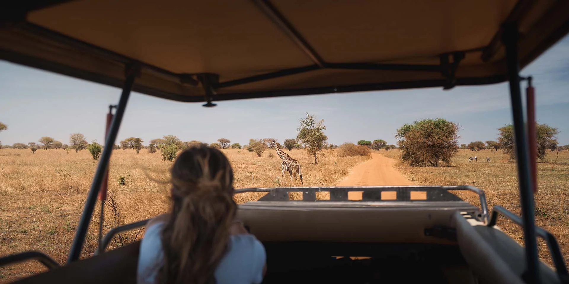tanzania game drive