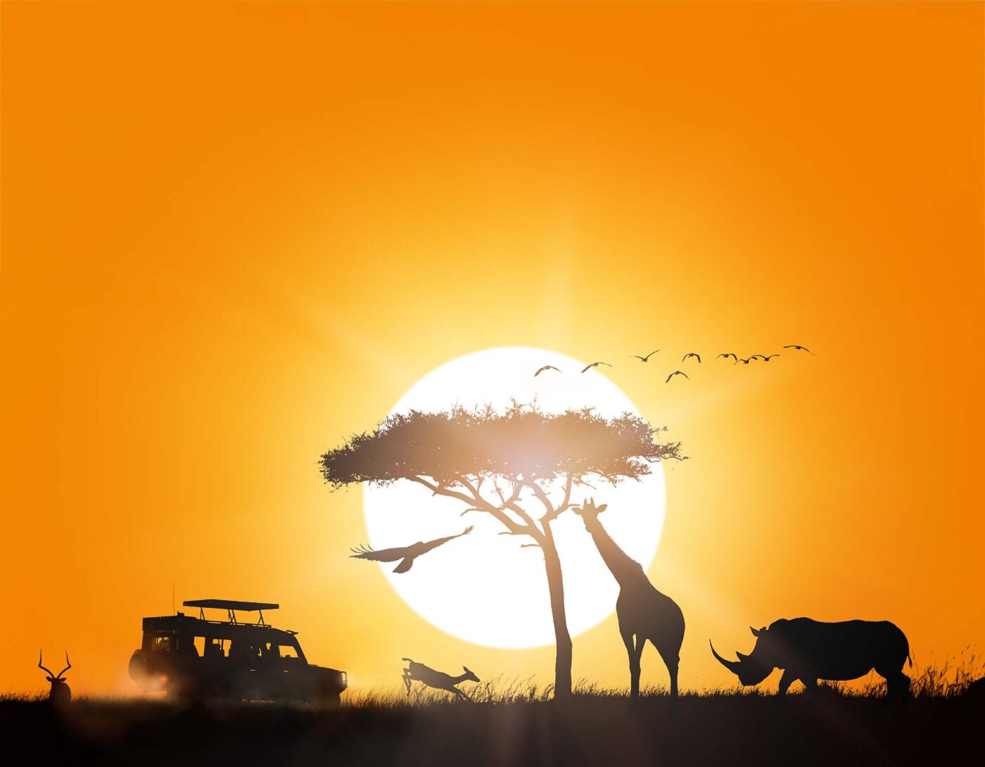 tanzania safari with Sisterhood travels