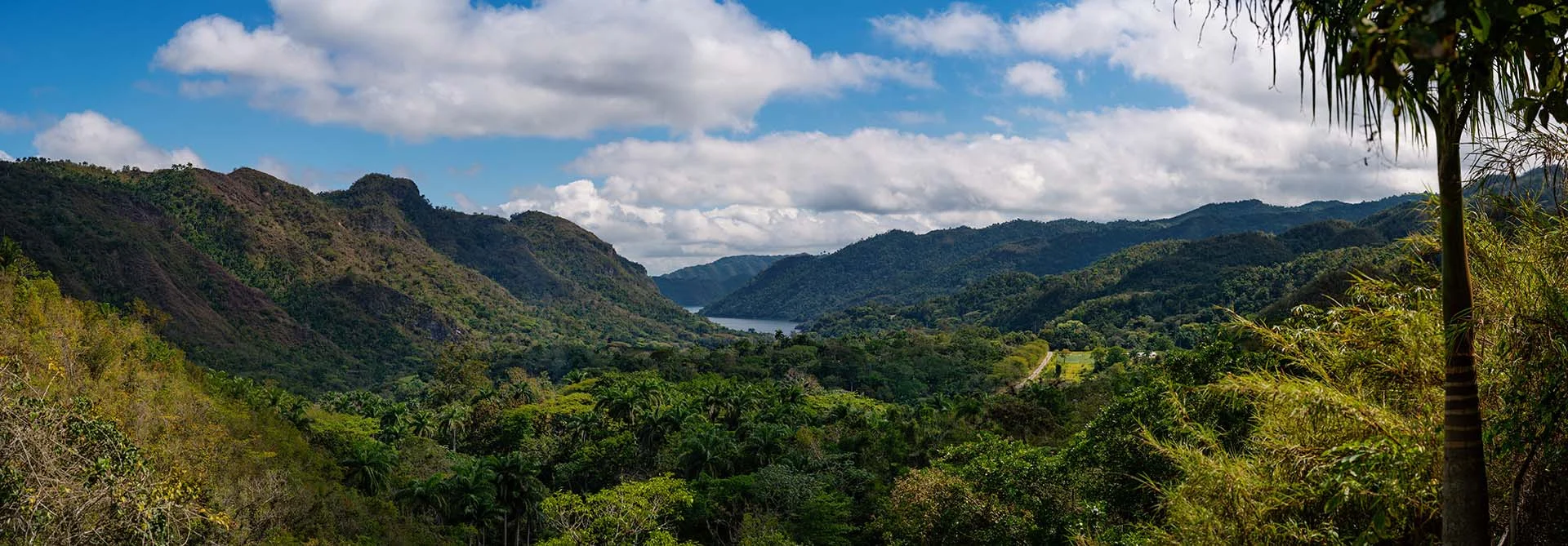 topes de collantes