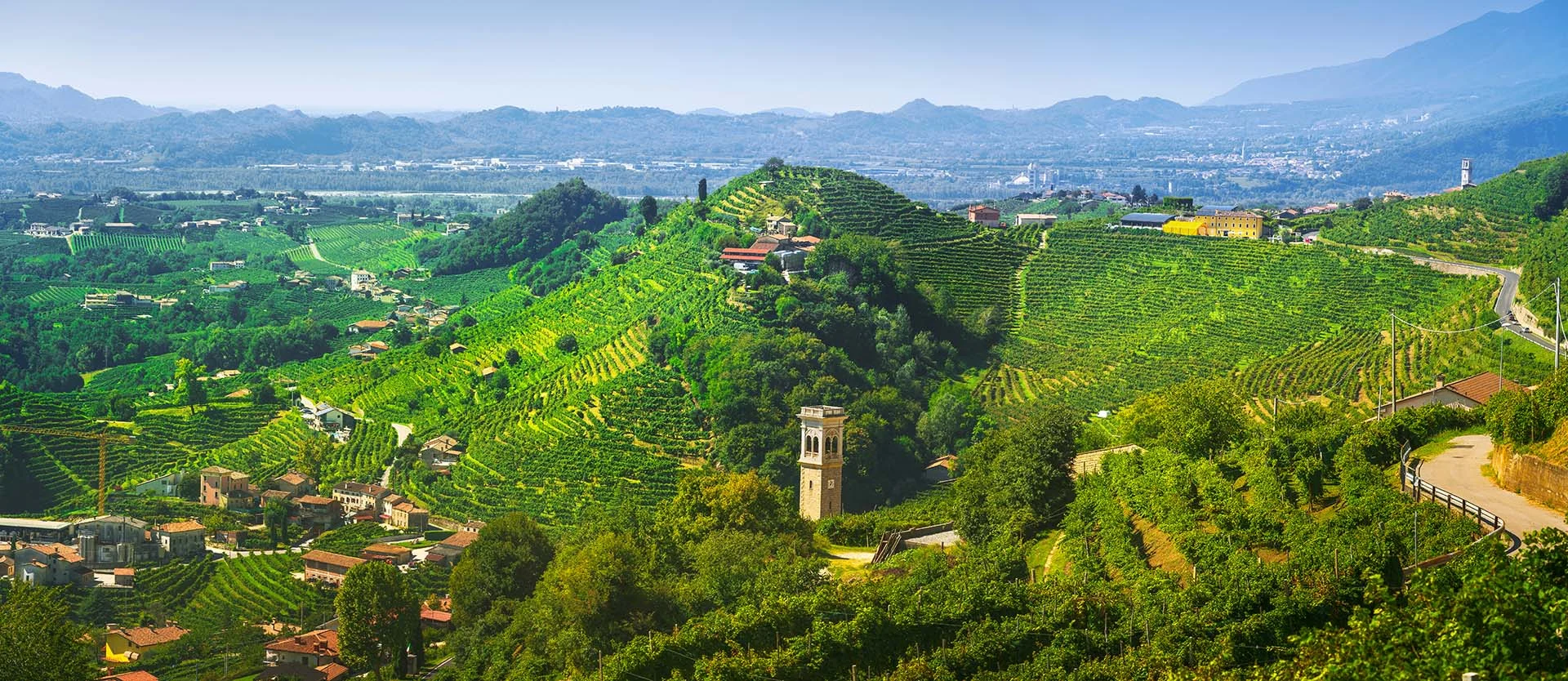 treviso prosecco hills