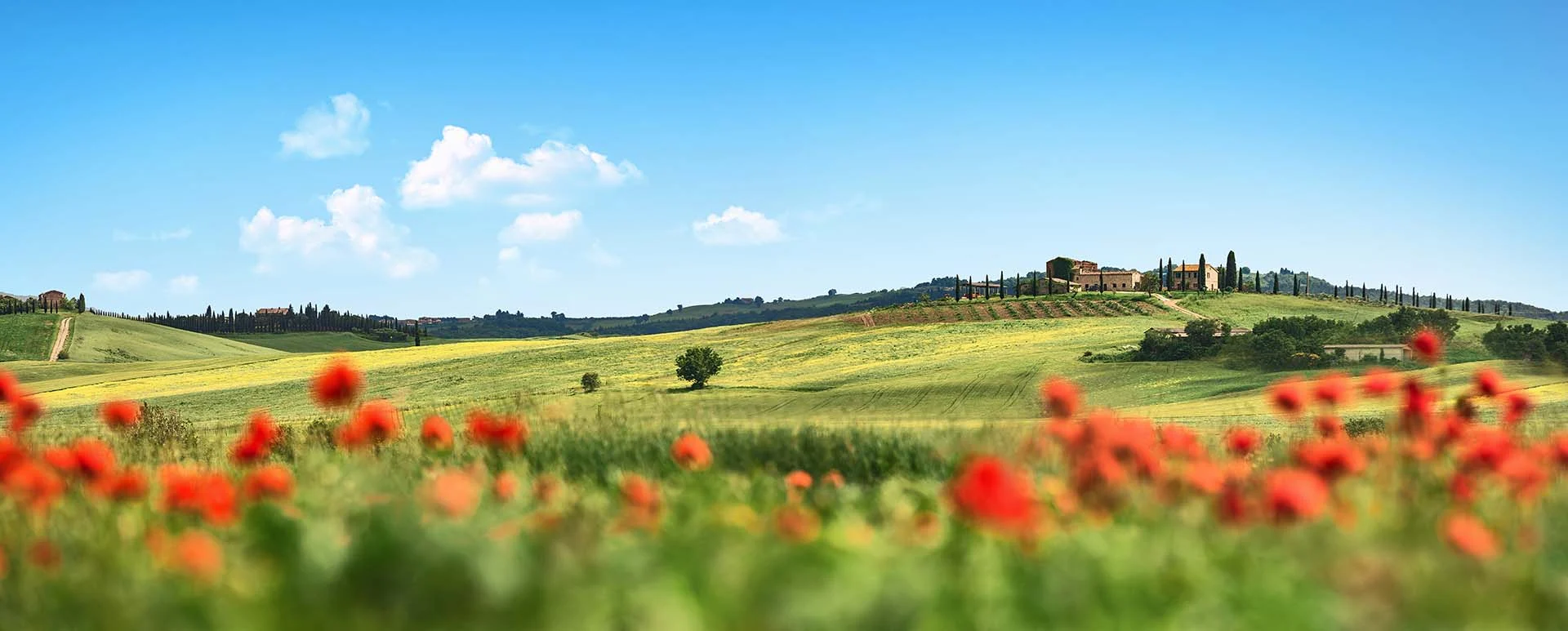 tuscany chianti countryside