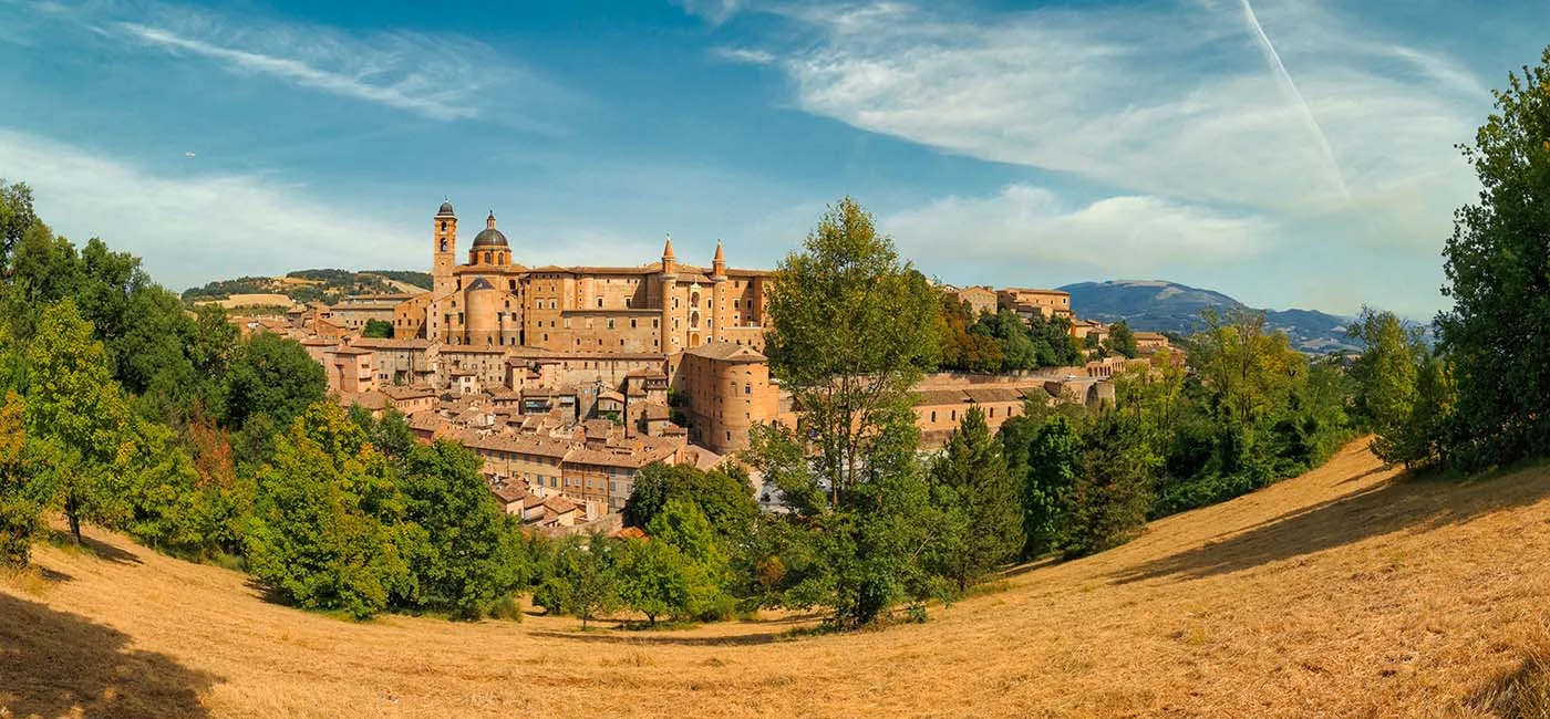 urbino pano