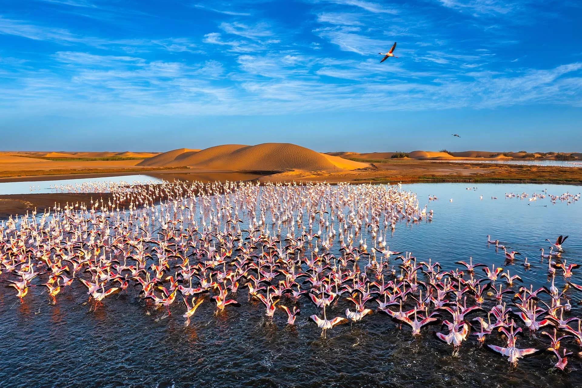 namibia safari trip